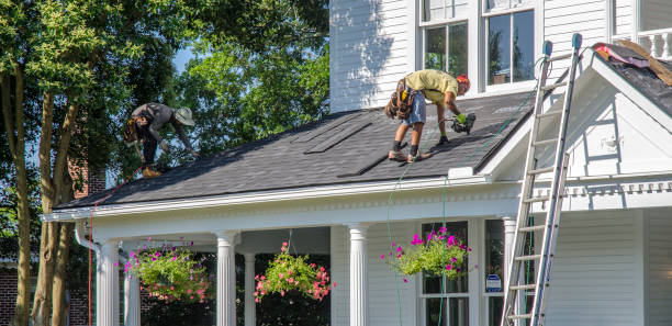 Best Flat Roof Repair Services  in Waynesboro, MS